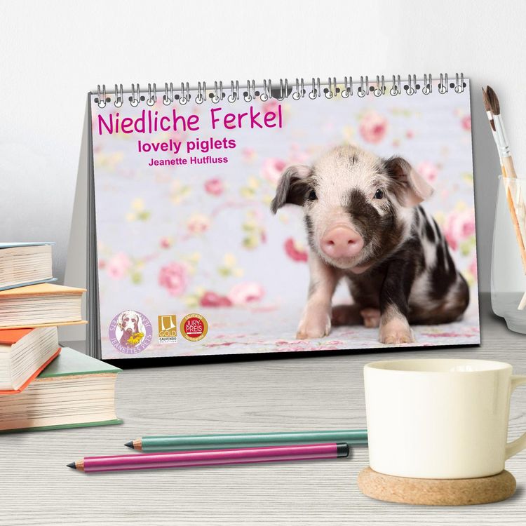 Produktbild: Niedliche Ferkel lovely piglets 2026 (Tischkalender 2026 DIN A5 quer), CALVENDO Monatskalender