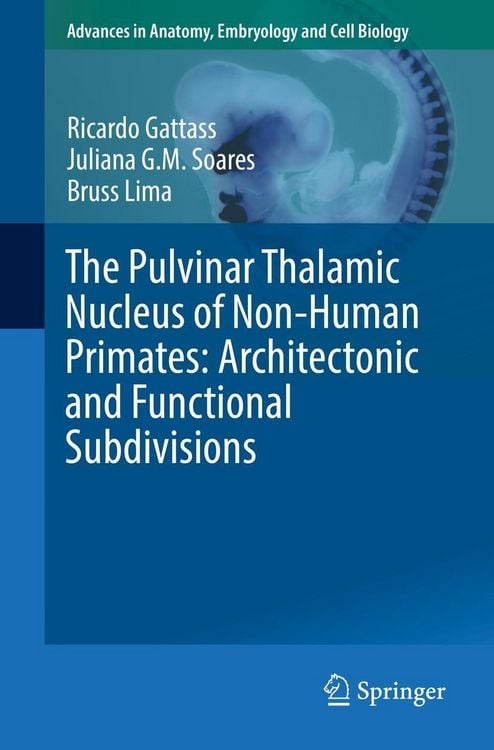 Produktbild: The Pulvinar Thalamic Nucleus of Non-Human Primates: Architectonic and Functional Subdivisions