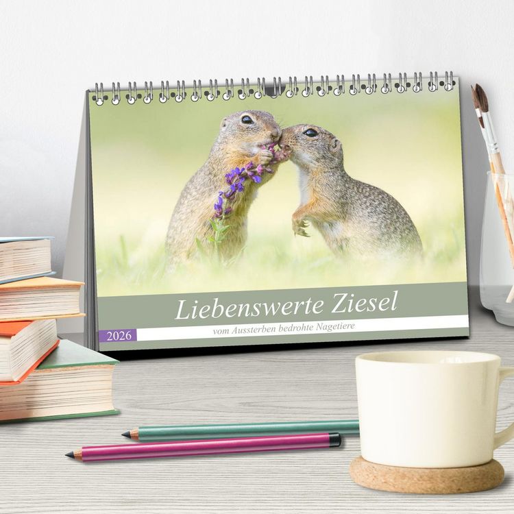 Produktbild: Liebenswerte Ziesel - vom Aussterben bedrohte Nagetiere (Tischkalender 2026 DIN A5 quer), CALVENDO Monatskalender