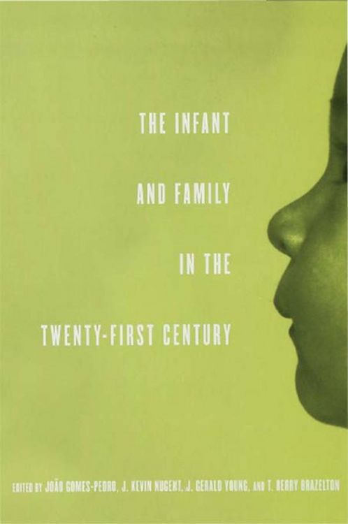 Produktbild: The Infant and Family in the Twenty-First Century