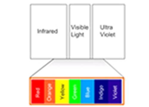 Produktbild: Principles of Colorimetry