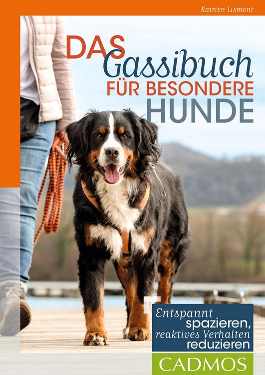 Produktbild: Das Gassi-Buch f&uuml;r besondere Hunde