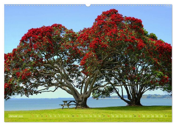 Produktbild: Neuseeland &bull; Impressionen (hochwertiger Premium Wandkalender 2026 DIN A2 quer), Kunstdruck in Hochglanz