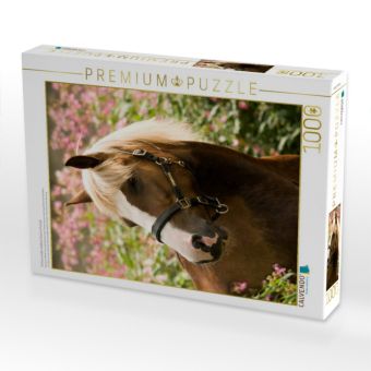 Produktbild: CALVENDO Puzzle Schwarzw&auml;lder Kaltblut Stute im Portrait | 1000 Teile Lege-Gr&ouml;&szlig;e 64x48cm Foto-Puzzle f&uuml;r gl&uuml;ckliche Stunden