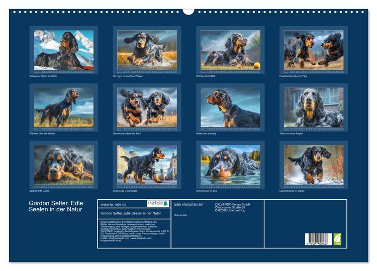 Produktbild: Gordon Setter. Edle Seelen in der Natur (Wandkalender 2026 DIN A2 quer), CALVENDO Monatskalender