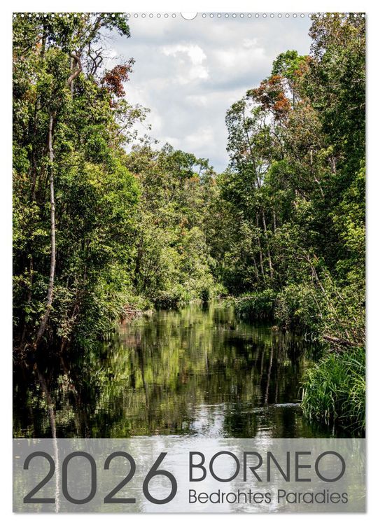 Produktbild: BORNEO Bedrohtes Paradies (Wandkalender 2026 DIN A2 hoch), CALVENDO Monatskalender