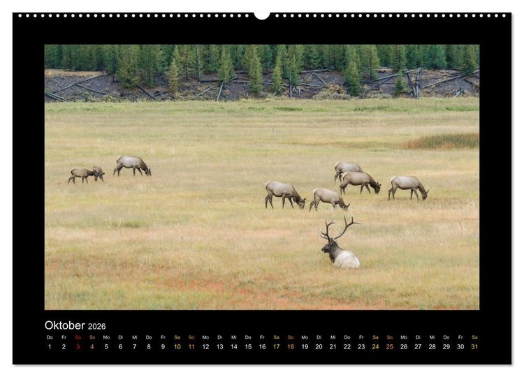 Produktbild: Yellowstone - Wunder der Natur (Wandkalender 2026 DIN A2 quer), CALVENDO Monatskalender