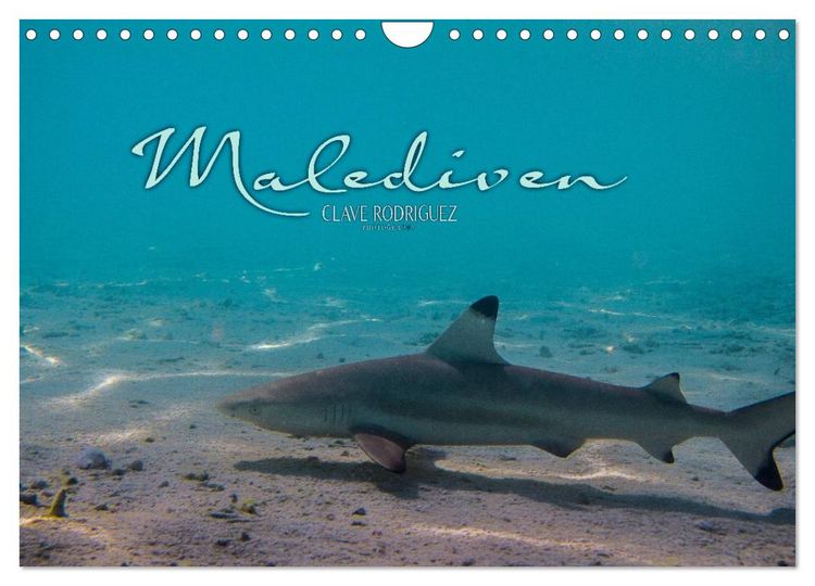 Produktbild: Unterwasserwelt der Malediven I (Wandkalender 2026 DIN A4 quer), CALVENDO Monatskalender