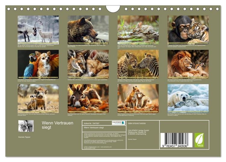 Produktbild: Wenn Vertrauen siegt (Wandkalender 2026 DIN A4 quer), CALVENDO Monatskalender