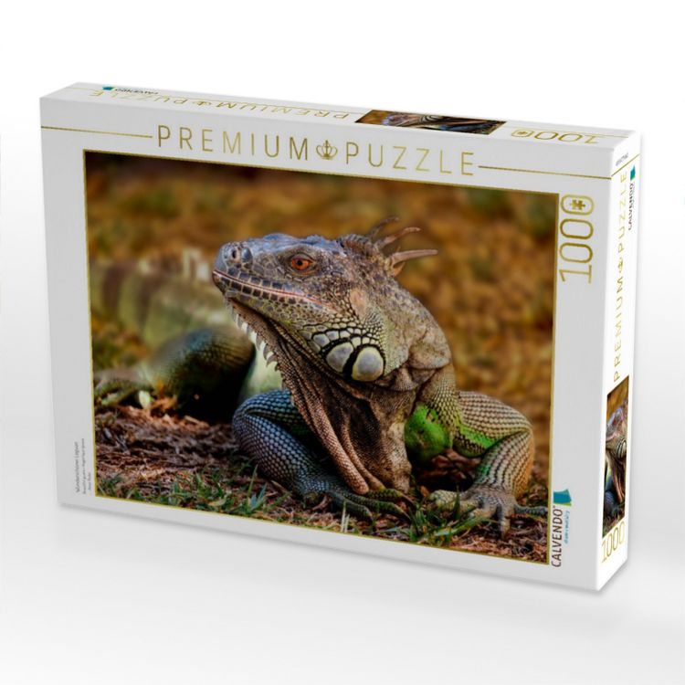 Produktbild: CALVENDO Puzzle Wundersch&ouml;ner Leguan | 1000 Teile Lege-Gr&ouml;&szlig;e 64x48cm Foto-Puzzle f&uuml;r gl&uuml;ckliche Stunden