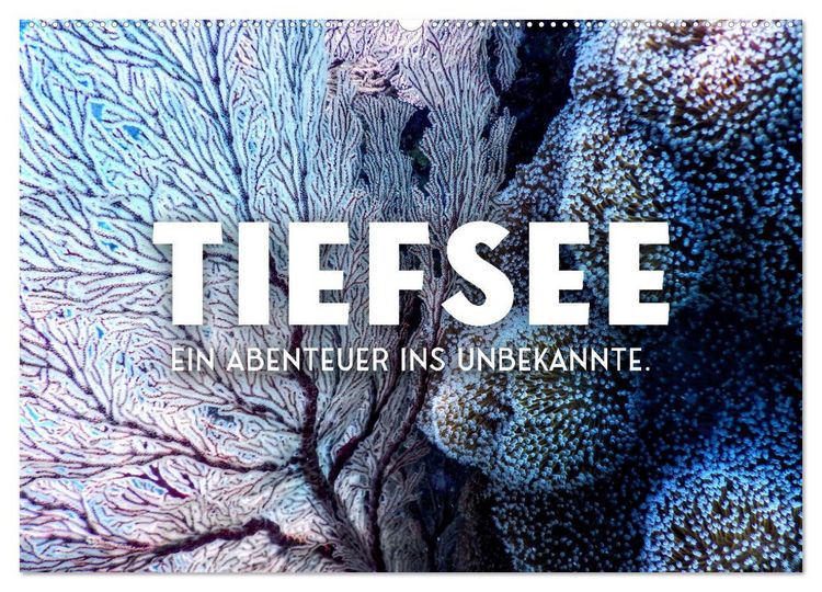 Produktbild: Tiefsee - Ein Abenteuer ins Unbekannte. (Wandkalender 2026 DIN A2 quer), CALVENDO Monatskalender