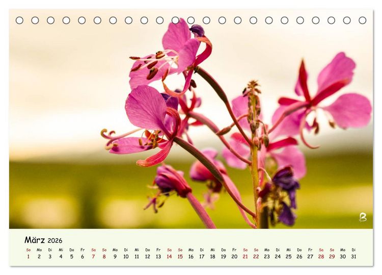 Produktbild: Entdecke den Yukon (Tischkalender 2026 DIN A5 quer), CALVENDO Monatskalender