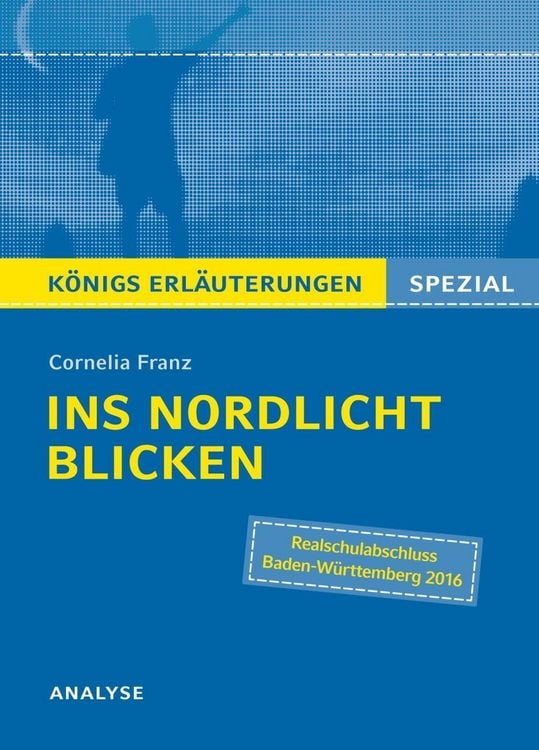 Produktbild: Ins Nordlicht blicken von Cornelia Franz. Königs Erläuterungen Spezial.