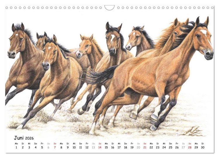Produktbild: Arts & Horses (Wandkalender 2026 DIN A3 quer), CALVENDO Monatskalender