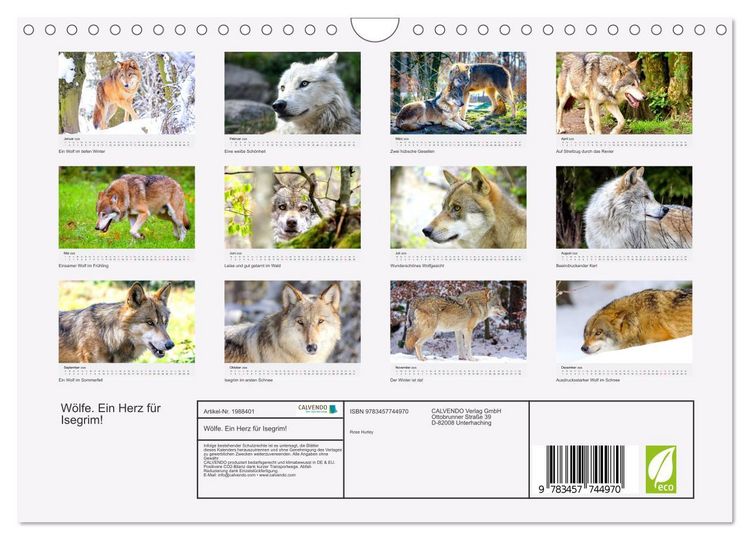 Produktbild: W&ouml;lfe. Ein Herz f&uuml;r Isegrim! (Wandkalender 2026 DIN A4 quer), CALVENDO Monatskalender