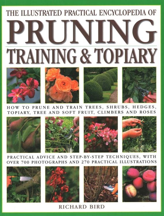 Produktbild: Illustrated Practical Encyclopedia of Pruning, Training and Topiary