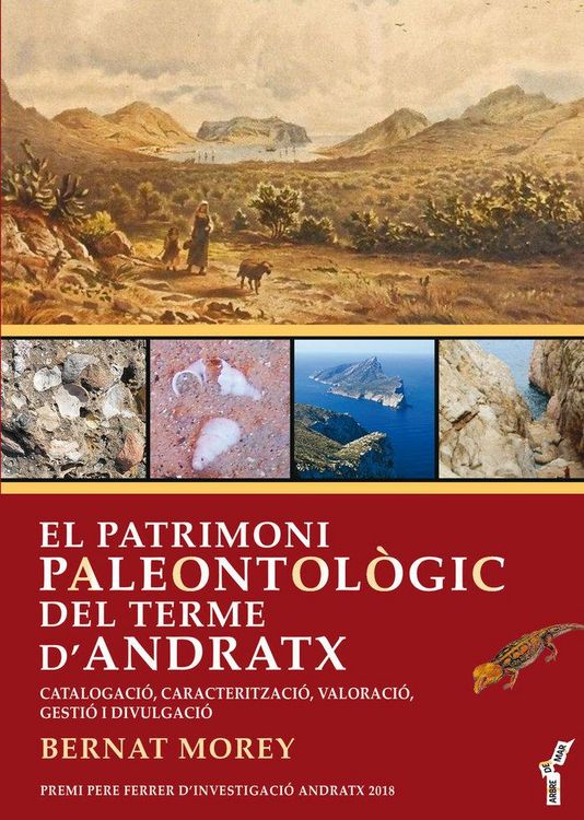 Produktbild: El patrimoni paleontol&ograve;gic del terme dAndratx : catalogaci&oacute;, caracteritzaci&oacute;, valoraci&oacute;, gesti&oacute; i divulgaci&oacute;