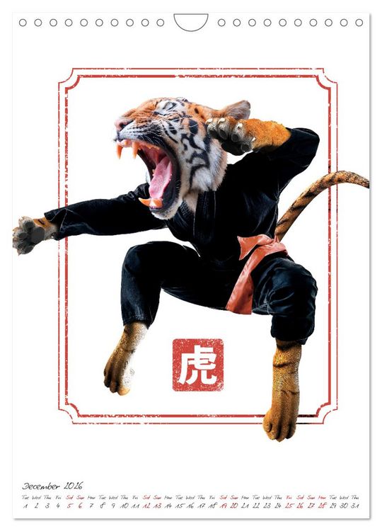 Produktbild: Crazy animal fighters (Wall Calendar 2026 DIN A4 portrait), CALVENDO 12 Month Wall Calendar