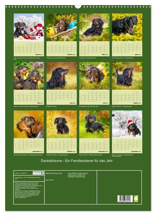 Produktbild: Dackeltr&auml;ume - Ein Familienplaner f&uuml;r das Jahr (Wandkalender 2026 DIN A2 hoch), CALVENDO Monatskalender