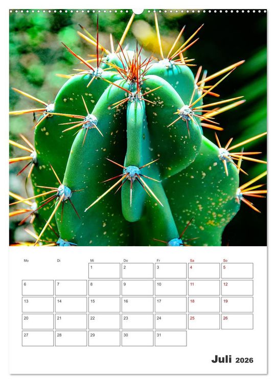 Produktbild: Dornige Sch&ouml;nheiten - Kakteen und Sukkulenten (hochwertiger Premium Wandkalender 2026 DIN A2 hoch), Kunstdruck in Hochglanz