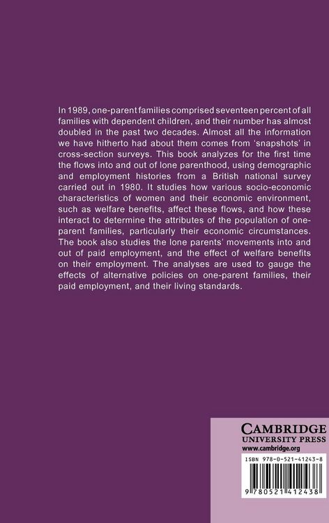 Produktbild: Lone Parenthood