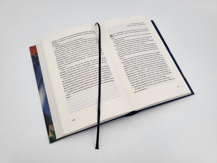 Produktbild: Der Maler und das reine Blau des Himmels