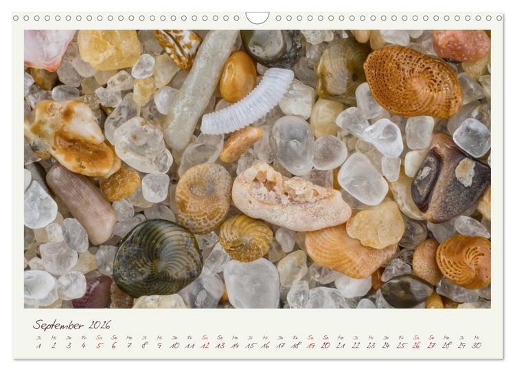 Produktbild: Abenteuer Mikrofotografie Sand (Wandkalender 2026 DIN A3 quer), CALVENDO Monatskalender