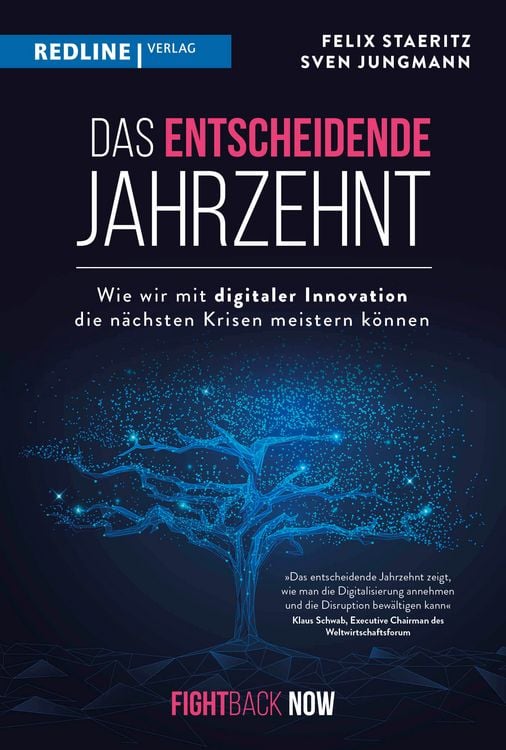 Produktbild: Das entscheidende Jahrzehnt