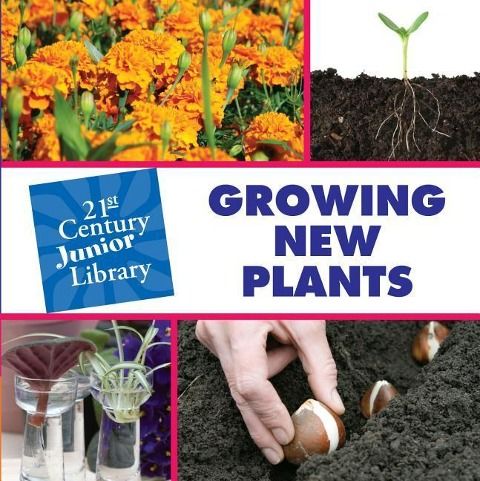 Produktbild: Growing New Plants