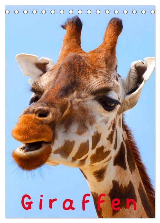 Produktbild: Giraffen (Tischkalender 2026 DIN A5 hoch), CALVENDO Monatskalender