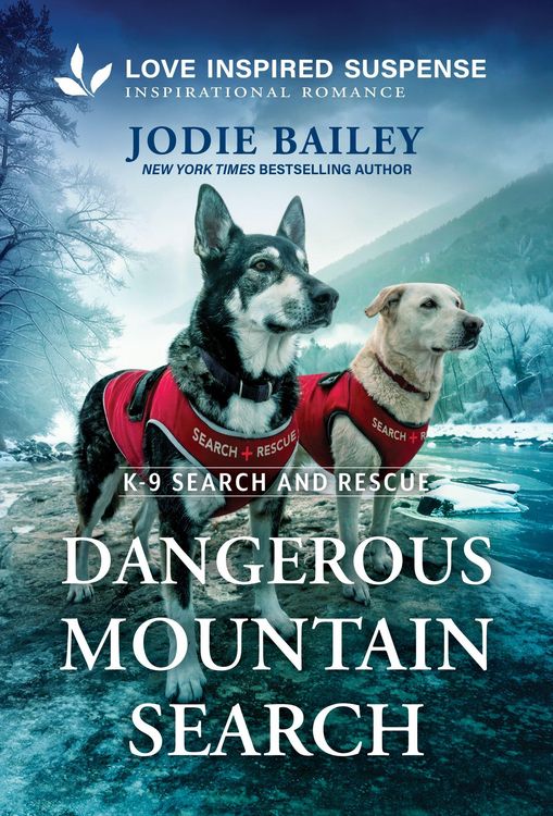 Produktbild: Dangerous Mountain Search