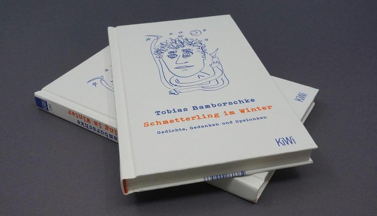 Produktbild: Schmetterling im Winter