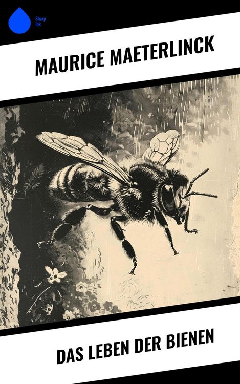 Produktbild: Das Leben der Bienen