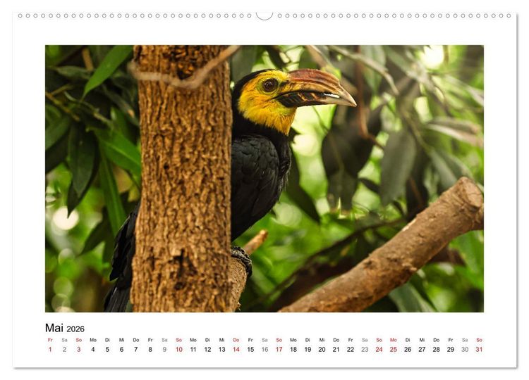 Produktbild: Zauberhaft und farbenfroh (hochwertiger Premium Wandkalender 2026 DIN A2 quer), Kunstdruck in Hochglanz