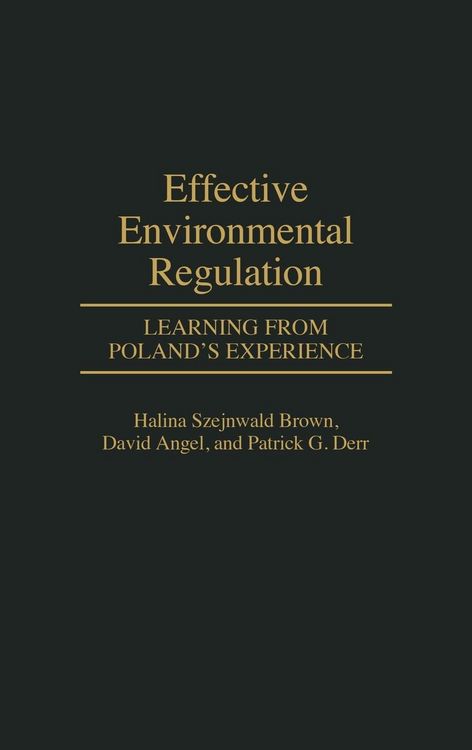 Produktbild: Effective Environmental Regulation