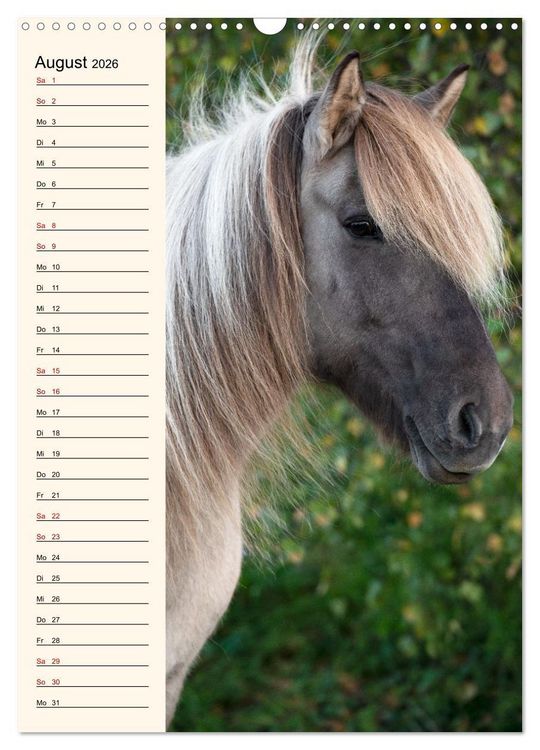 Produktbild: Isl&auml;nder Geburtstagskalender (Wandkalender 2026 DIN A3 hoch), CALVENDO Monatskalender