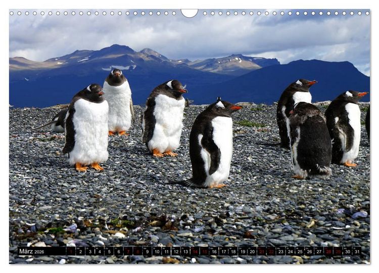 Produktbild: Argentinien - Von Iguazu bis Feuerland (Wandkalender 2026 DIN A3 quer), CALVENDO Monatskalender