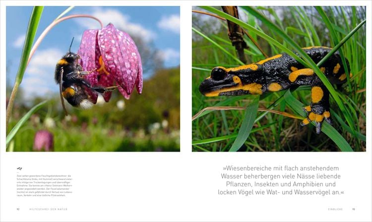 Produktbild: Hilfeschrei der Natur!