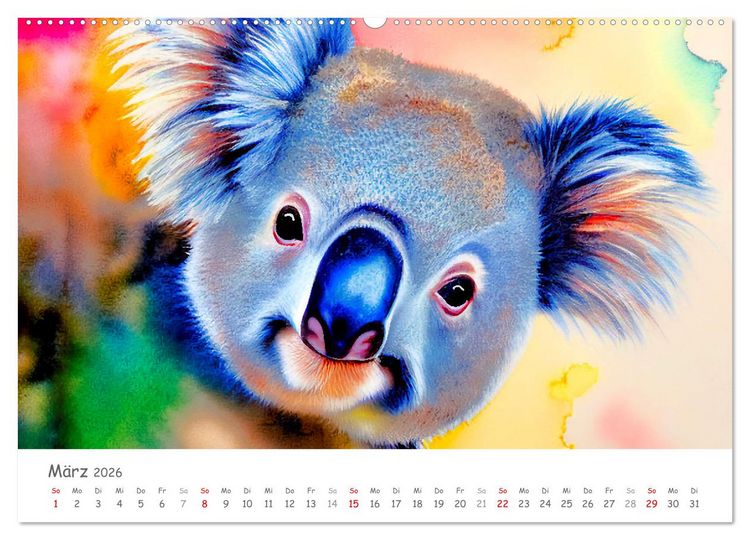 Produktbild: Der Koala 2026. Aschgrauer Beutelb&auml;r (Wandkalender 2026 DIN A2 quer), CALVENDO Monatskalender