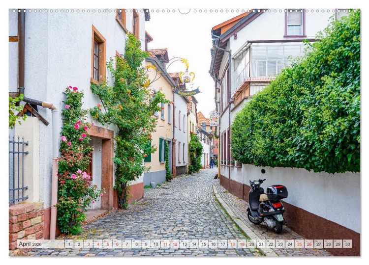 Produktbild: Neustadt an der Weinstra&szlig;e Impressionen (Wandkalender 2026 DIN A2 quer), CALVENDO Monatskalender