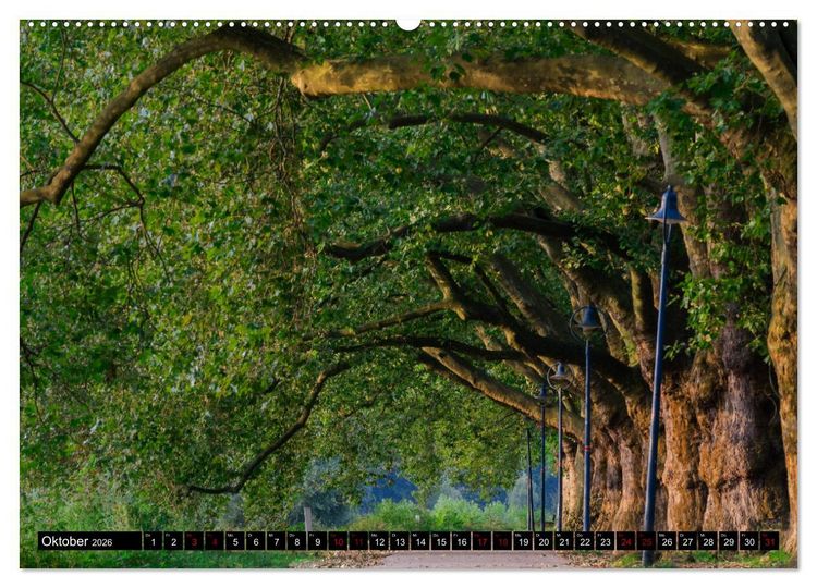 Produktbild: Ludwigshafen - Lebenswerte Stadt am Rhein (Wandkalender 2026 DIN A2 quer), CALVENDO Monatskalender