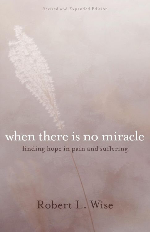 Produktbild: When There Is No Miracle