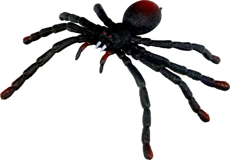 Produktbild: Biege-Spinne - Wild+Cool, sort. im Display