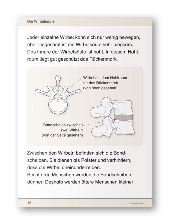 Produktbild: Ich kenne meinen Körper - Skelett, Muskeln und Wirbelsäule