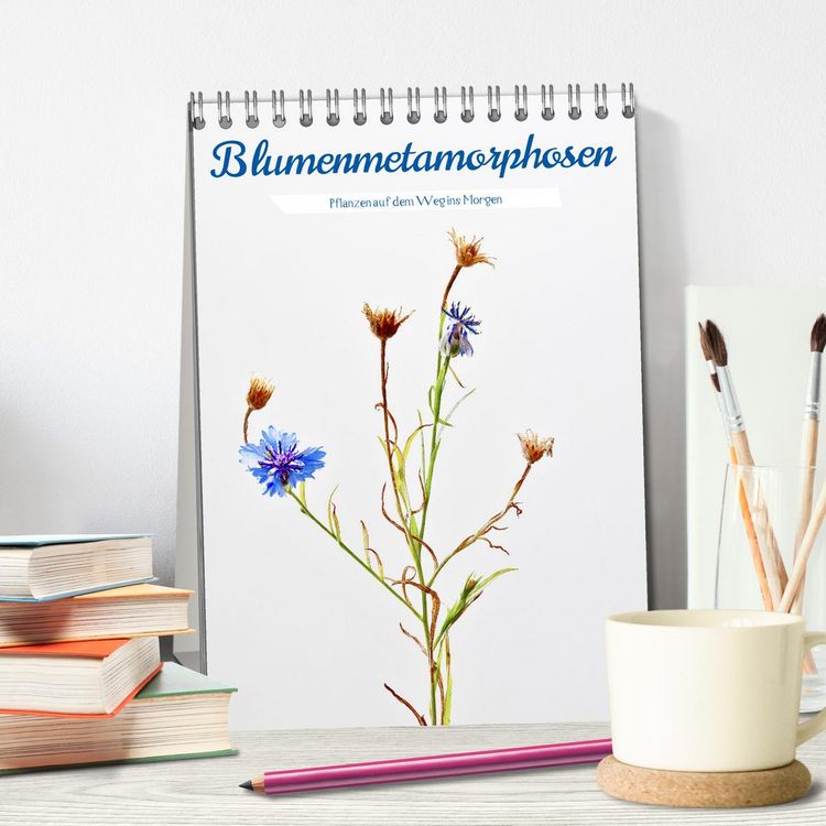 Produktbild: Blumenmetamorphosen (Tischkalender 2026 DIN A5 hoch), CALVENDO Monatskalender
