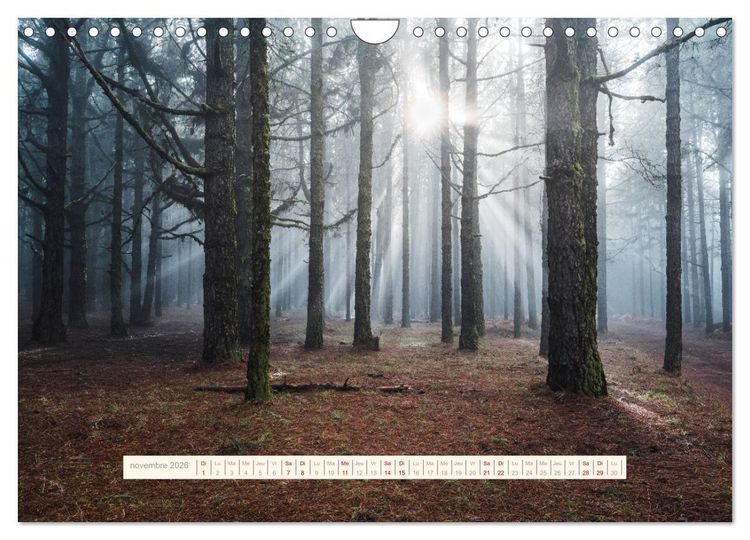 Produktbild: La Magie de T&eacute;n&eacute;riffe (Calendrier mural 2026 DIN A4 vertical), CALVENDO calendrier mensuel