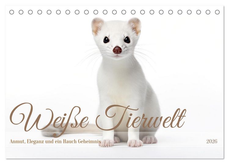Produktbild: Wei&szlig;e Tierwelt (Tischkalender 2026 DIN A5 quer), CALVENDO Monatskalender