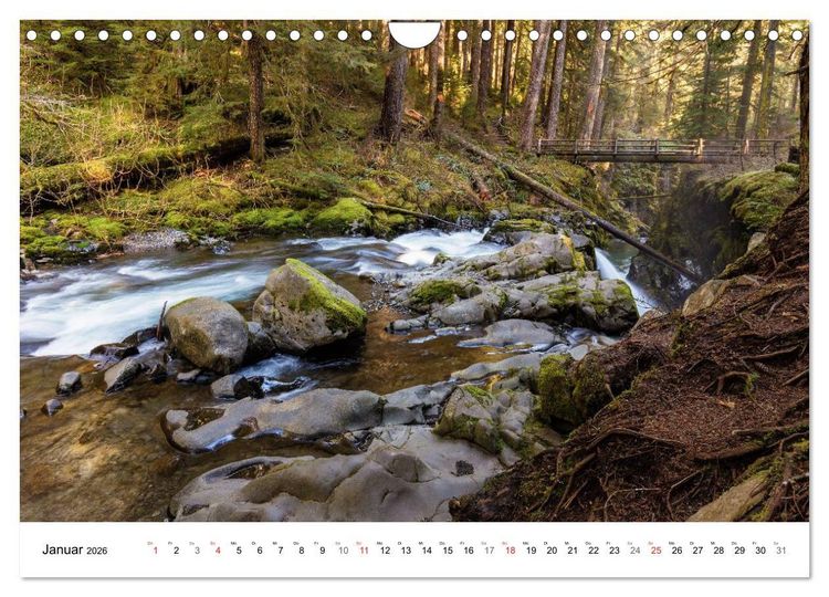 Produktbild: The Olympic National Park - Washington USA (Wandkalender 2026 DIN A4 quer), CALVENDO Monatskalender