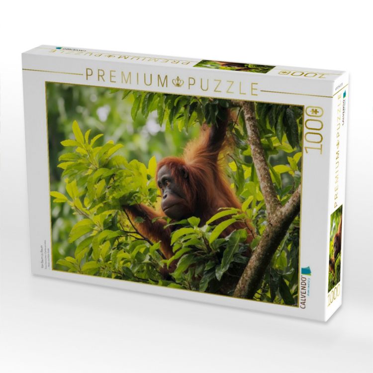 Produktbild: CALVENDO Puzzle Von Baum zu Baum | 1000 Teile Lege-Gr&ouml;&szlig;e 64x48cm Foto-Puzzle f&uuml;r gl&uuml;ckliche Stunden