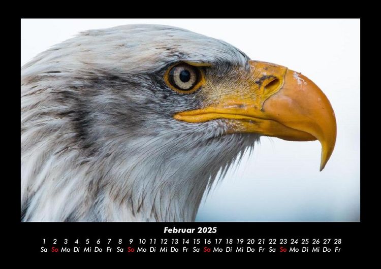 Produktbild: Vogelparadies 2025 Fotokalender DIN A3